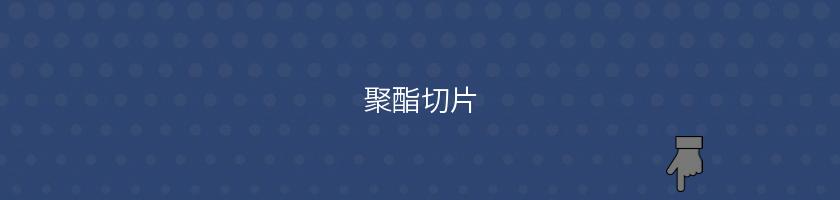 聚酯切片