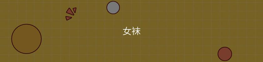 女襪