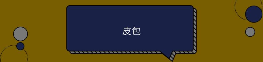 皮包