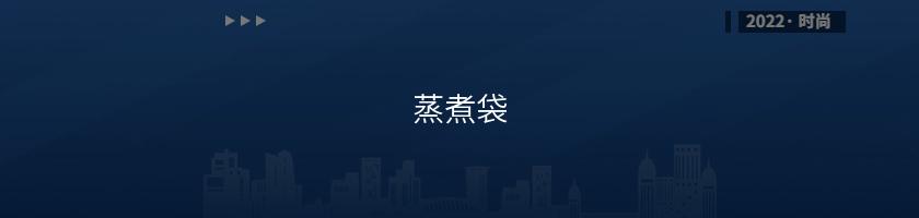 蒸煮袋