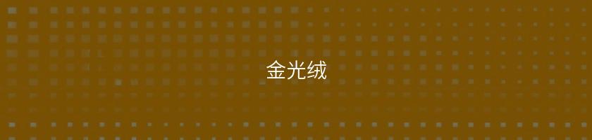 金光絨