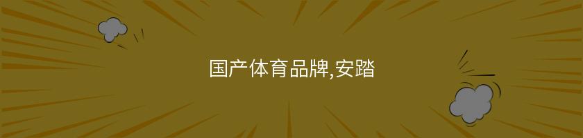 國產體育品牌,安踏