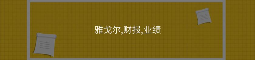 雅戈爾,財報,業績