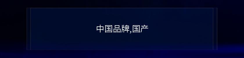 中國品牌,國產