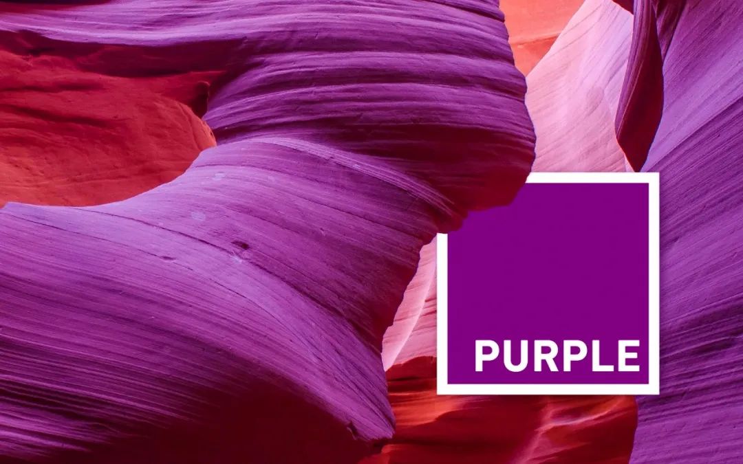 purple是什么意思