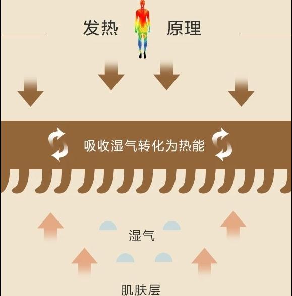 保暖內衣吸濕發熱啥原理？真會發熱嗎？